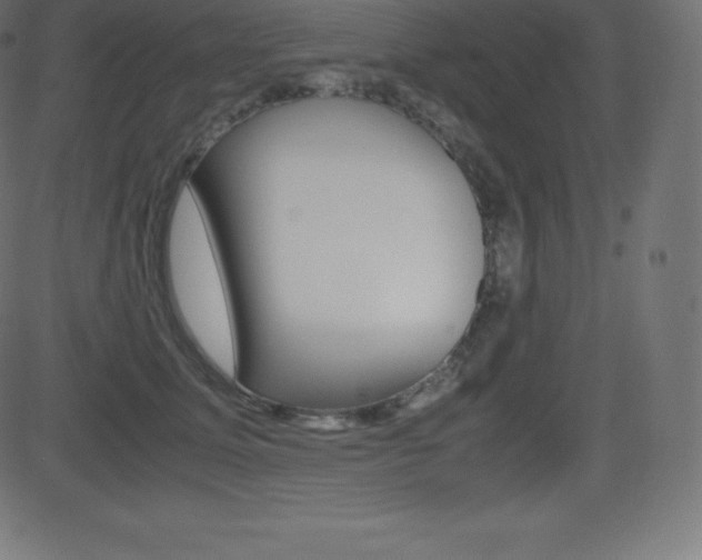 X0000081470611200701121017