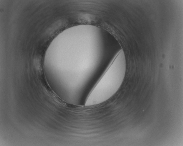X0000081470616200701121017