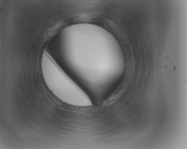 X0000081470624200701121017