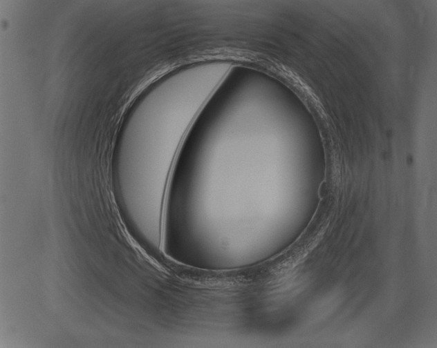 X0000081470625200701121016