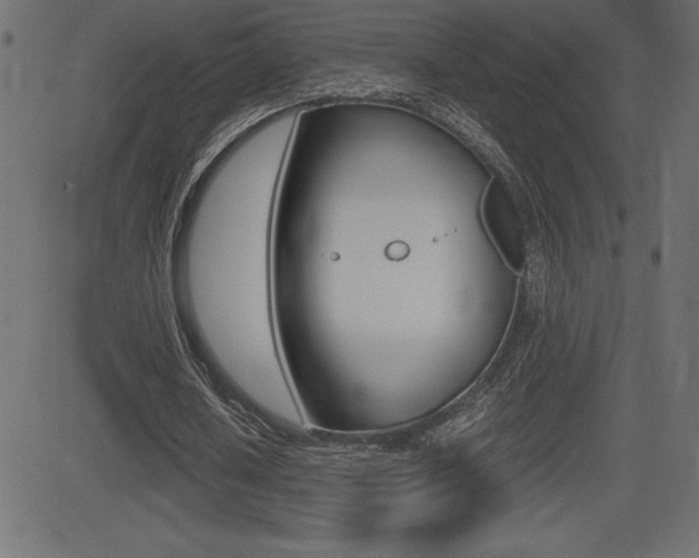 X0000081470626200701121016