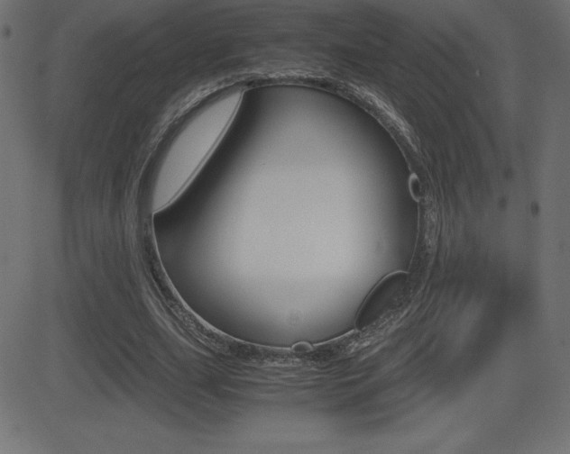 X0000081470631200701121016