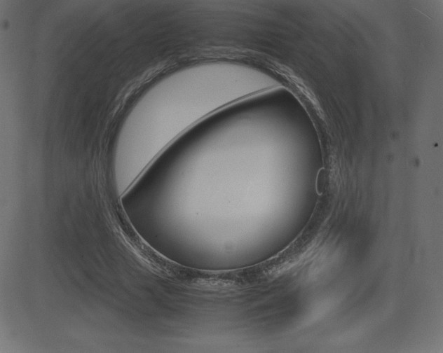 X0000081470633200701121016