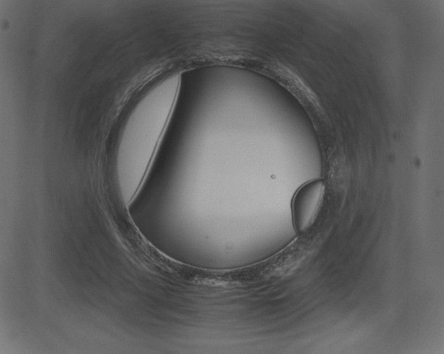 X0000081470635200701121016