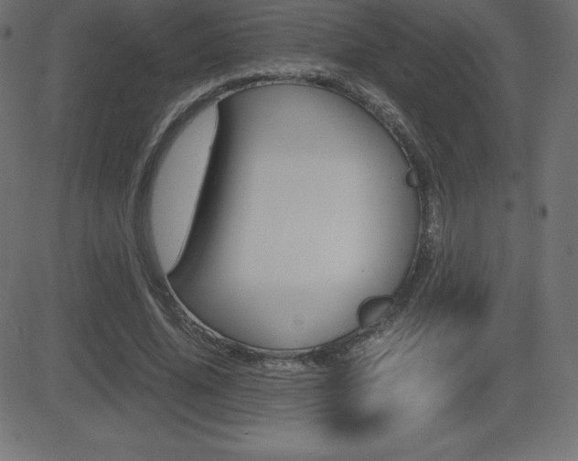 X0000081470636200701121016