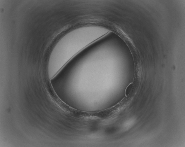 X0000081470637200701121016