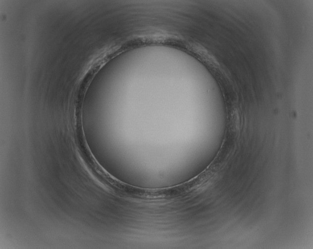 X0000081470638200701121016