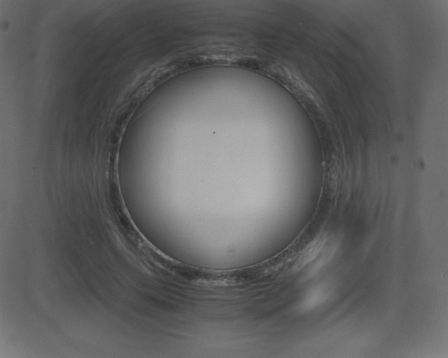 X0000081470639200701121016