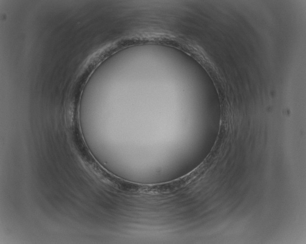 X0000081470640200701121017