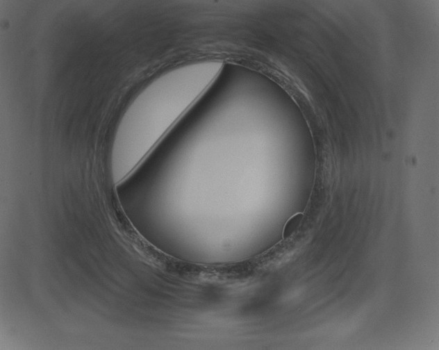 X0000081470641200701121017