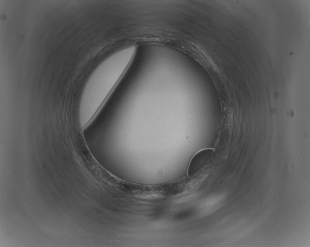 X0000081470643200701121017