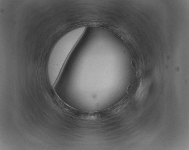 X0000081470647200701121017