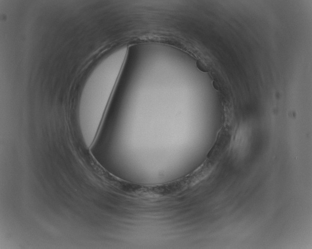 X0000081470648200701121017