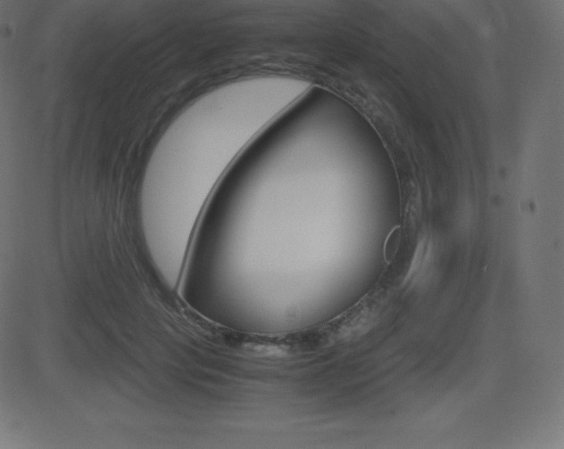 X0000081470649200701121017