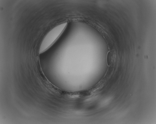 X0000081470651200701121017