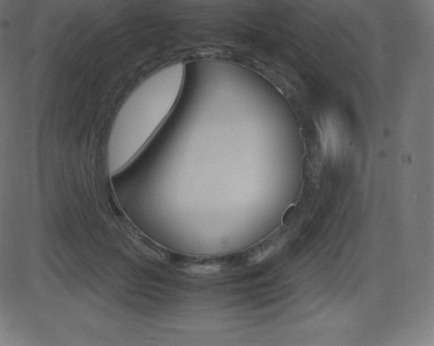 X0000081470653200701121017