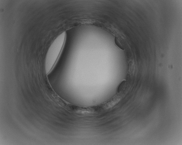 X0000081470655200701121017