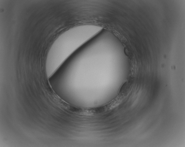 X0000081470656200701121017