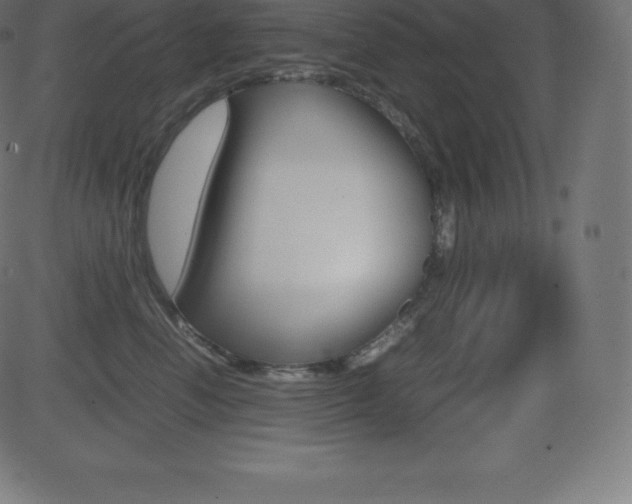 X0000081470666200701121017
