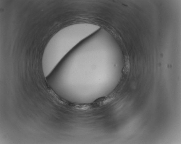 X0000081470667200701121017
