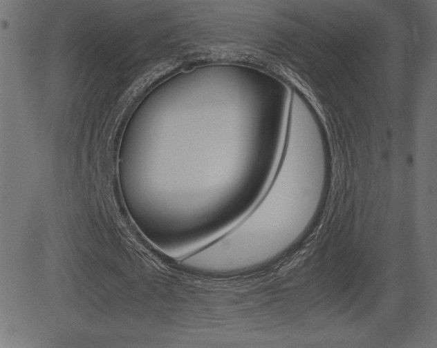 X0000081470673200701121016