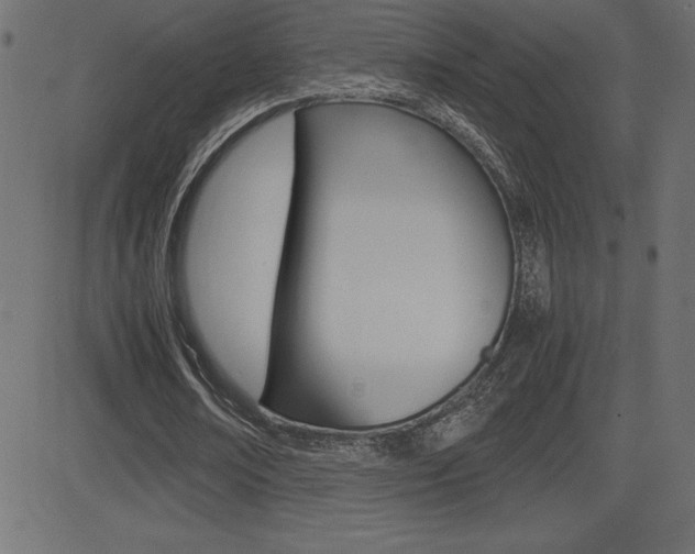 X0000081470674200701121016