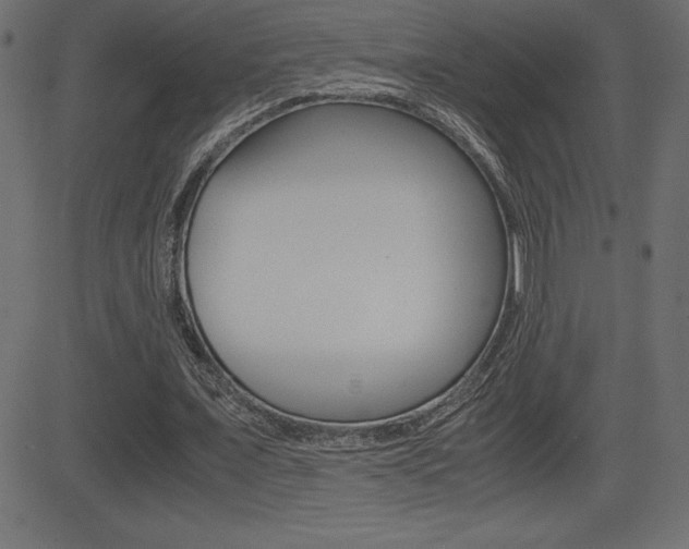 X0000081470675200701121016