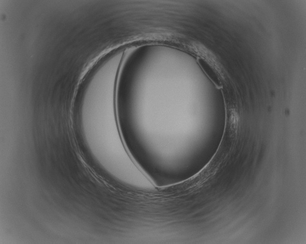 X0000081470676200701121016