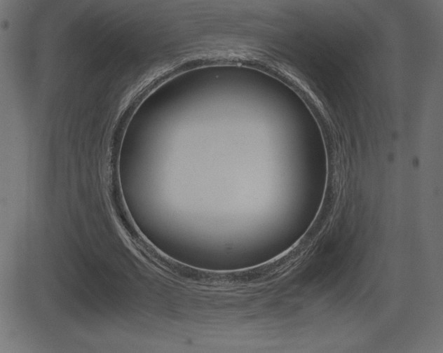 X0000081470677200701121016