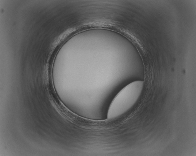 X0000081470678200701121016