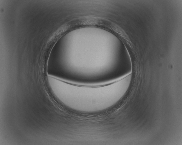 X0000081470681200701121016