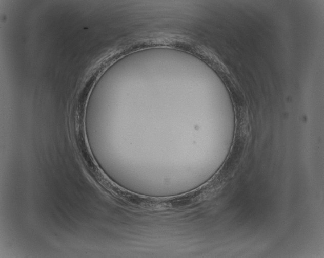 X0000081470683200701121016