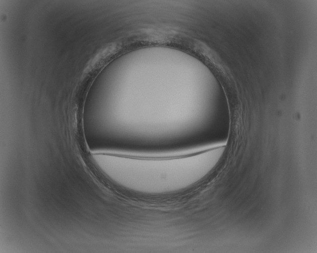 X0000081470685200701121016