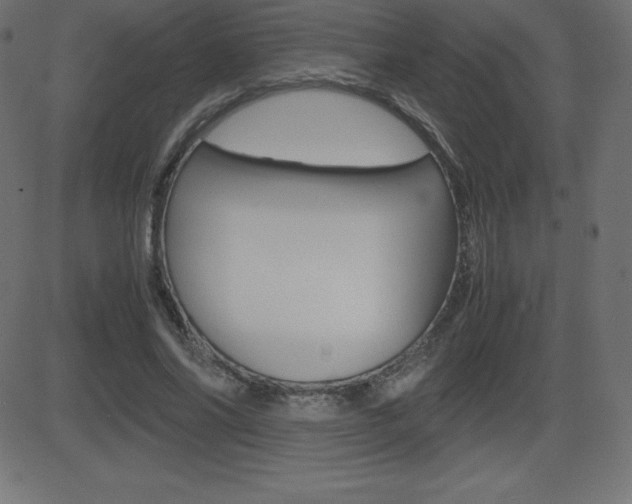 X0000081470686200701121016