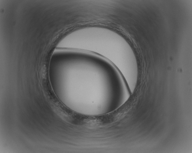 X0000081470689200701121016