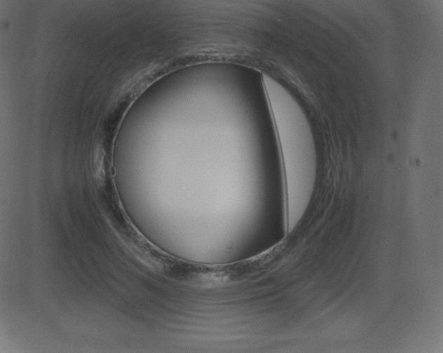 X0000081470692200701121016