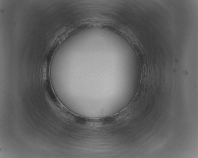 X0000081470694200701121016