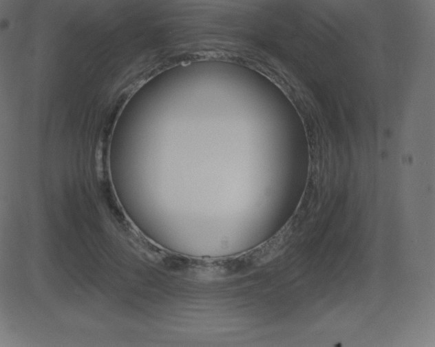 X0000081470696200701121016