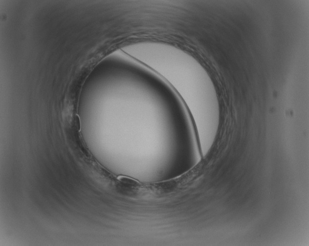 X0000081470697200701121016