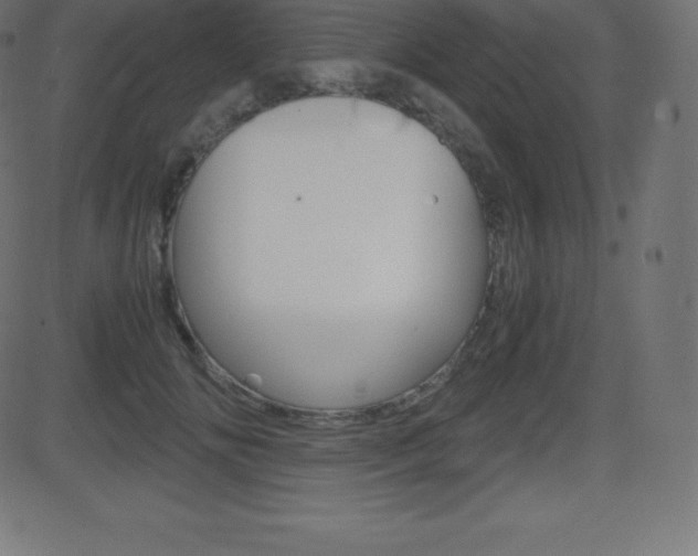 X0000081470702200701121016