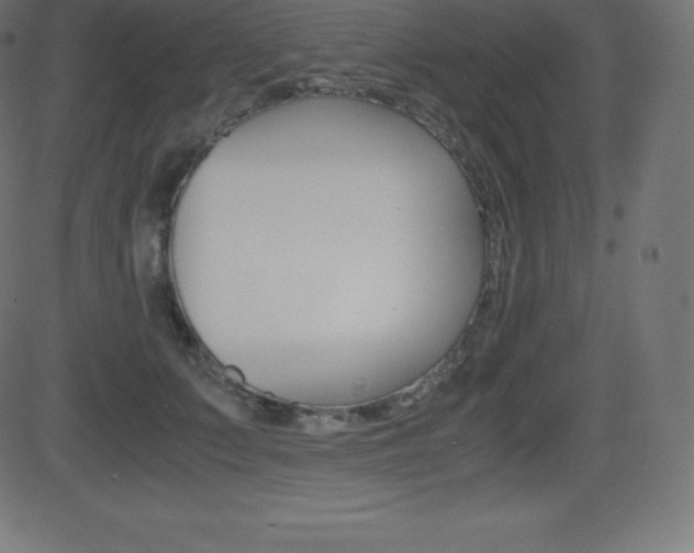 X0000081470703200701121016