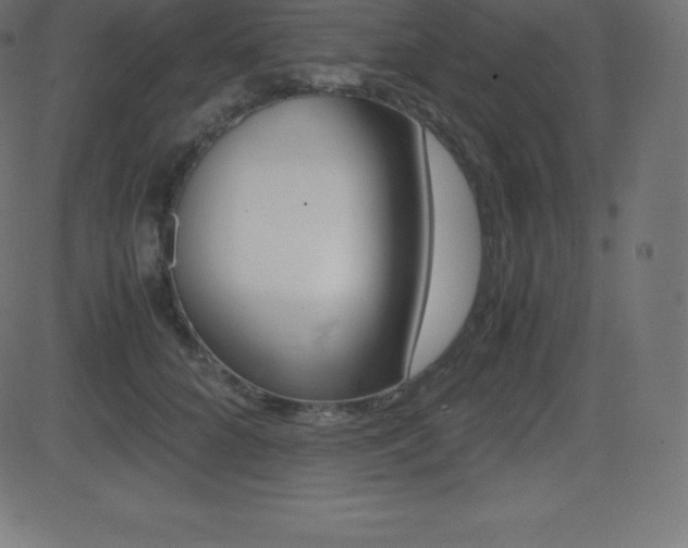 X0000081470704200701121016