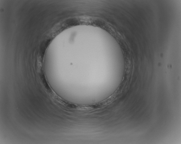 X0000081470707200701121016