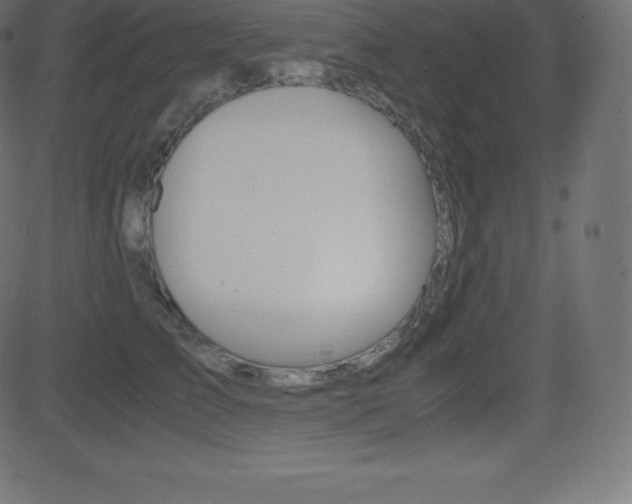 X0000081470709200701121016