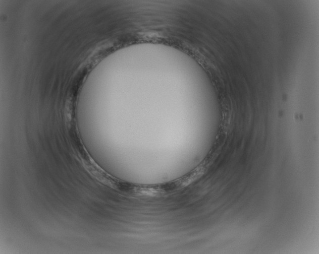 X0000081470710200701121016