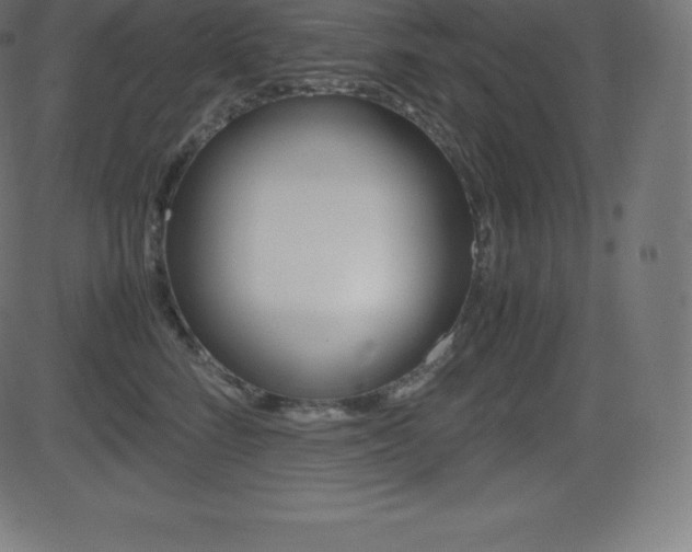 X0000081470712200701121016