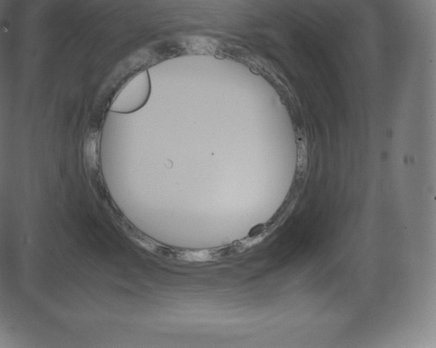 X0000081470717200701121016