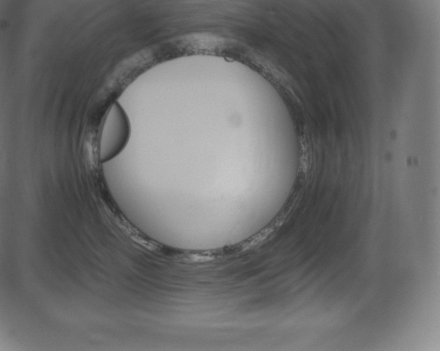 X0000081470718200701121016