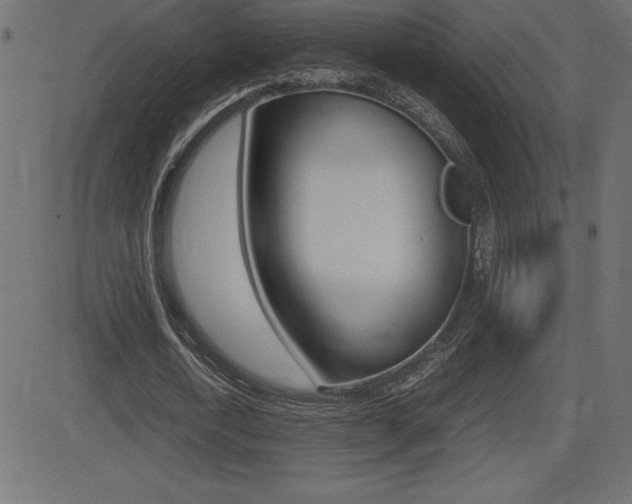 X0000081470722200701121015