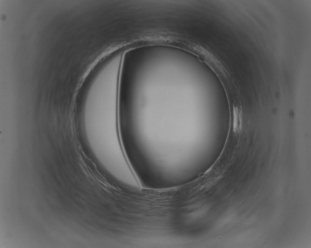 X0000081470723200701121015